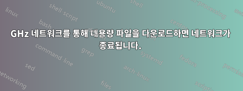 5GHz 네트워크를 통해 대용량 파일을 다운로드하면 네트워크가 종료됩니다.