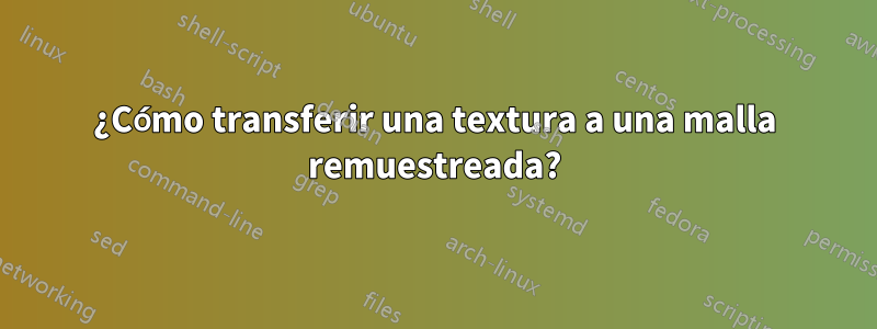 ¿Cómo transferir una textura a una malla remuestreada?