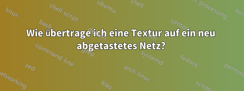 Wie übertrage ich eine Textur auf ein neu abgetastetes Netz?