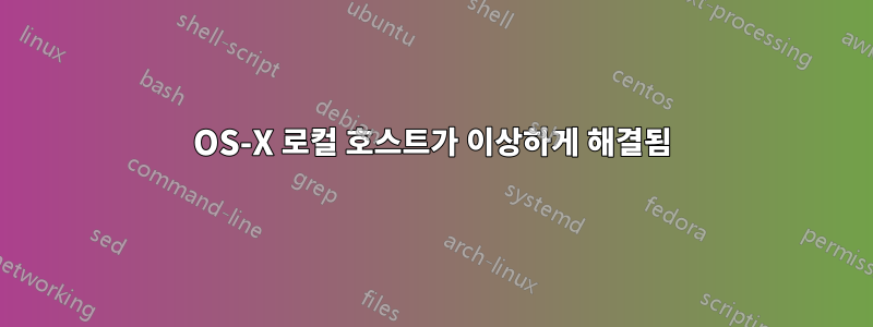 OS-X 로컬 호스트가 이상하게 해결됨