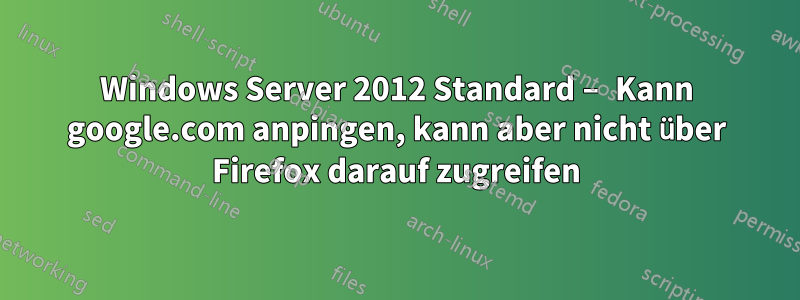 Windows Server 2012 Standard – Kann google.com anpingen, kann aber nicht über Firefox darauf zugreifen