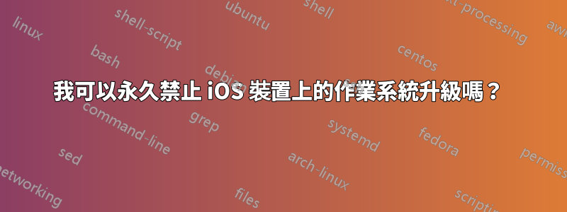 我可以永久禁止 iOS 裝置上的作業系統升級嗎？ 