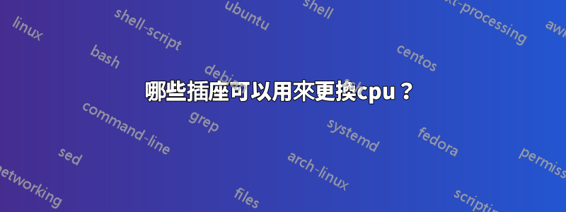 哪些插座可以用來更換cpu？