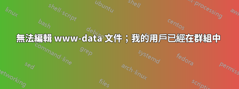 無法編輯 www-data 文件；我的用戶已經在群組中