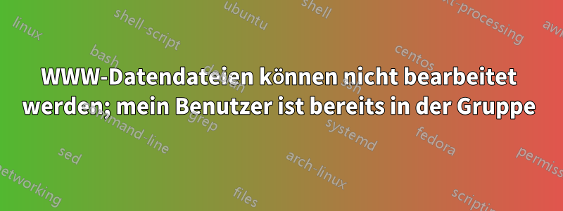 WWW-Datendateien können nicht bearbeitet werden; mein Benutzer ist bereits in der Gruppe