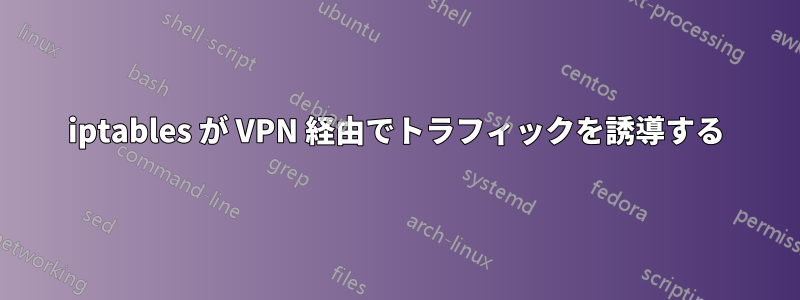 iptables が VPN 経由でトラフィックを誘導する