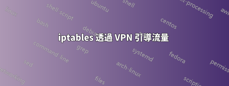 iptables 透過 VPN 引導流量