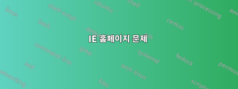 IE 홈페이지 문제