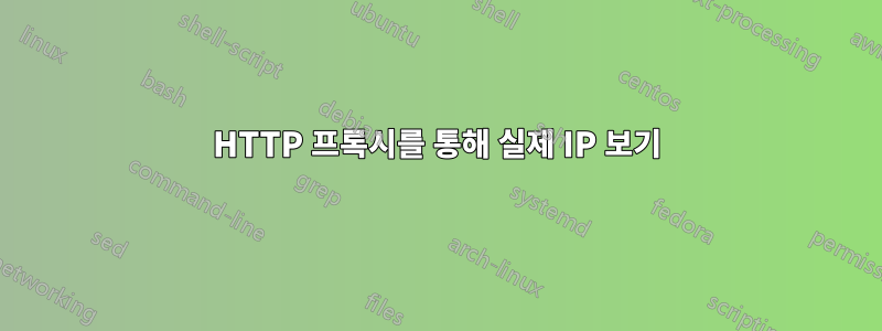 HTTP 프록시를 통해 실제 IP 보기