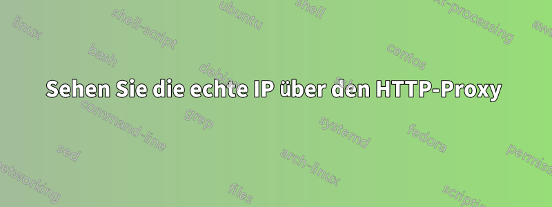 Sehen Sie die echte IP über den HTTP-Proxy