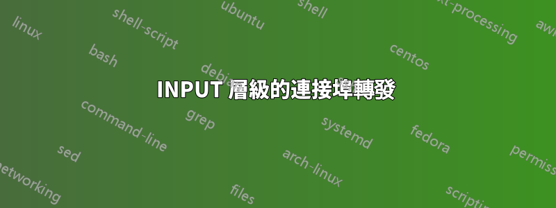 INPUT 層級的連接埠轉發