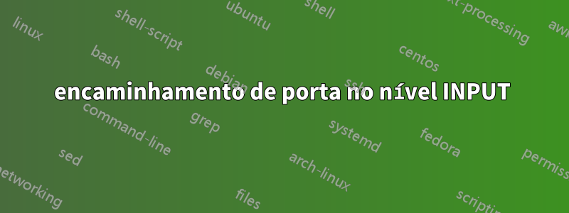 encaminhamento de porta no nível INPUT