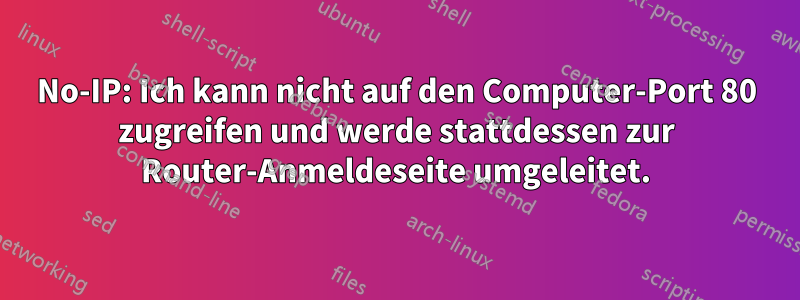 No-IP: Ich kann nicht auf den Computer-Port 80 zugreifen und werde stattdessen zur Router-Anmeldeseite umgeleitet.