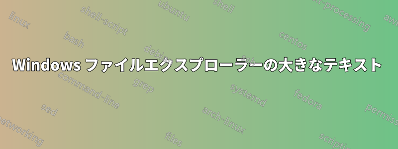 Windows ファイルエクスプローラーの大きなテキスト