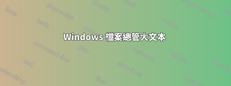 Windows 檔案總管大文本