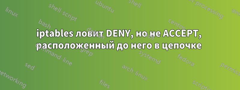 iptables ловит DENY, но не ACCEPT, расположенный до него в цепочке