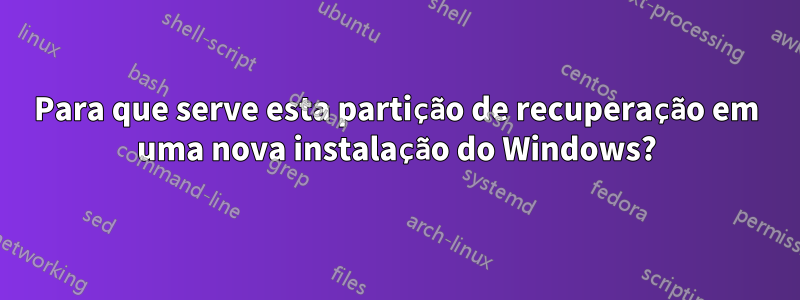 Para que serve esta partição de recuperação em uma nova instalação do Windows?