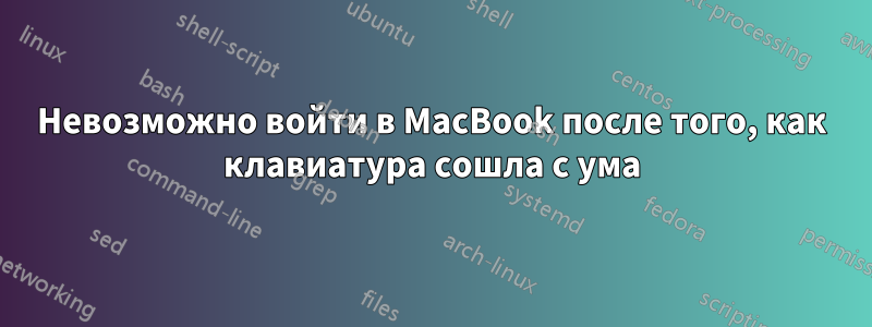 Невозможно войти в MacBook после того, как клавиатура сошла с ума