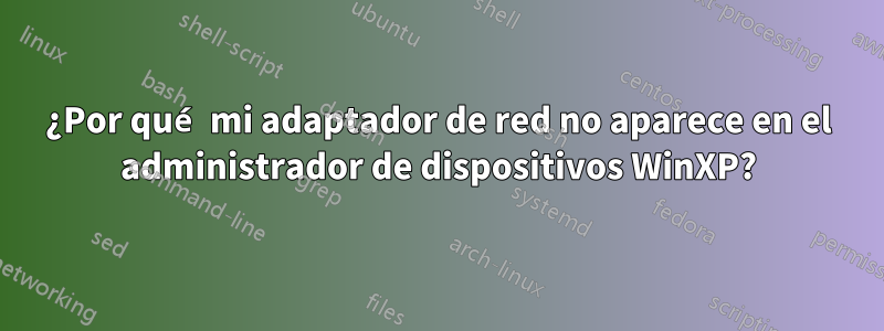 ¿Por qué mi adaptador de red no aparece en el administrador de dispositivos WinXP?