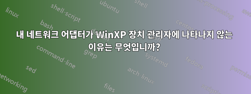 내 네트워크 어댑터가 WinXP 장치 관리자에 나타나지 않는 이유는 무엇입니까?