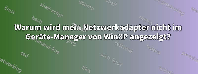 Warum wird mein Netzwerkadapter nicht im Geräte-Manager von WinXP angezeigt?