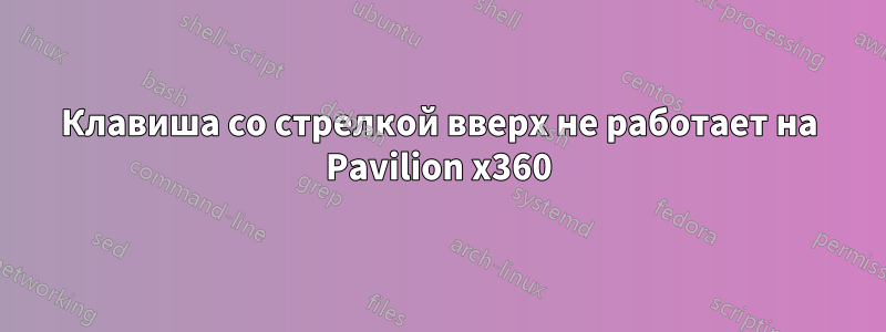 Клавиша со стрелкой вверх не работает на Pavilion x360