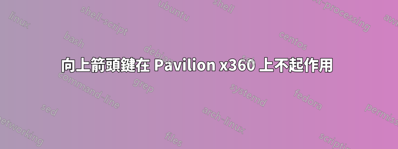 向上箭頭鍵在 Pavilion x360 上不起作用