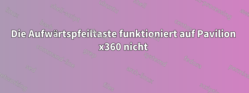 Die Aufwärtspfeiltaste funktioniert auf Pavilion x360 nicht