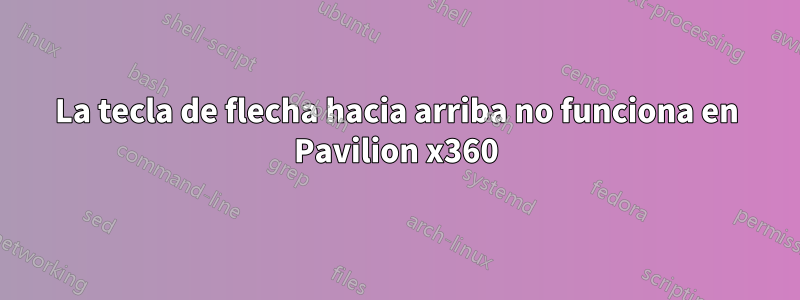 La tecla de flecha hacia arriba no funciona en Pavilion x360