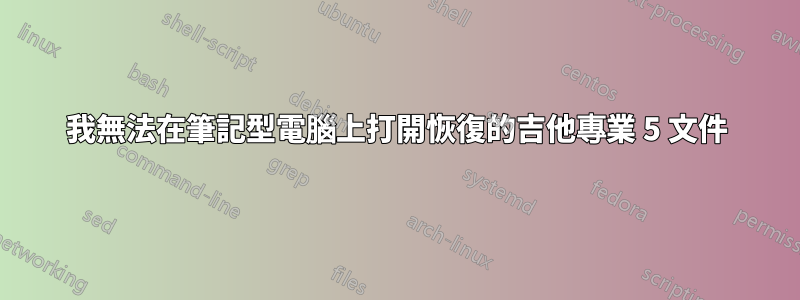 我無法在筆記型電腦上打開恢復的吉他專業 5 文件