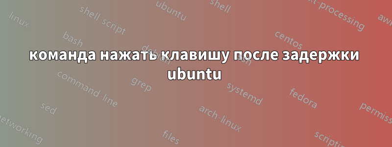 команда нажать клавишу после задержки ubuntu