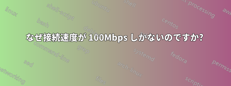 なぜ接続速度が 100Mbps しかないのですか?