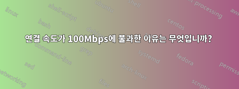 연결 속도가 100Mbps에 불과한 이유는 무엇입니까?