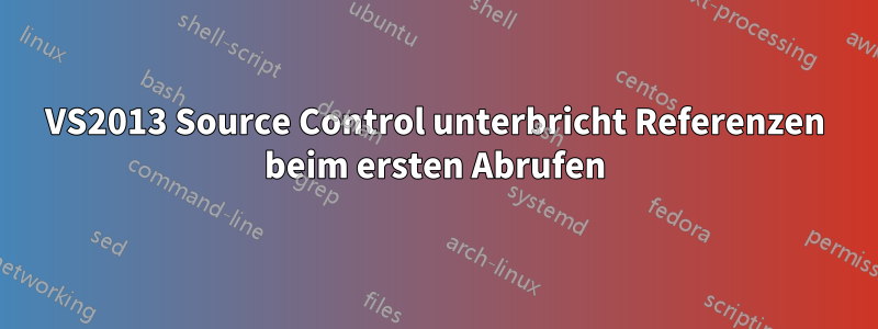 VS2013 Source Control unterbricht Referenzen beim ersten Abrufen