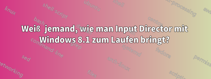 Weiß jemand, wie man Input Director mit Windows 8.1 zum Laufen bringt?