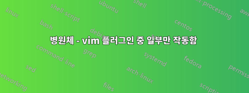 병원체 - vim 플러그인 중 일부만 작동함