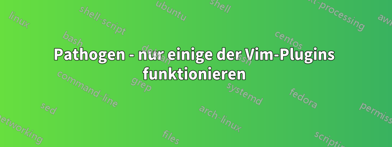 Pathogen - nur einige der Vim-Plugins funktionieren