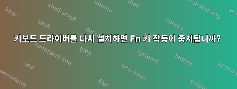 키보드 드라이버를 다시 설치하면 Fn 키 작동이 중지됩니까?