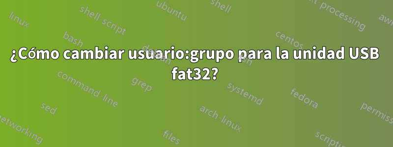 ¿Cómo cambiar usuario:grupo para la unidad USB fat32?