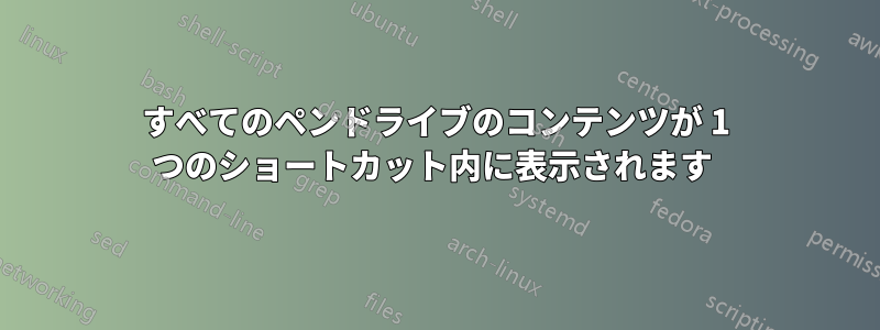 すべてのペンドライブのコンテンツが 1 つのショートカット内に表示されます 