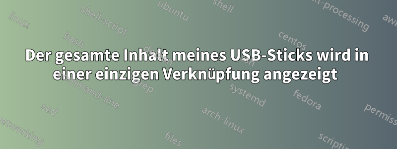 Der gesamte Inhalt meines USB-Sticks wird in einer einzigen Verknüpfung angezeigt 