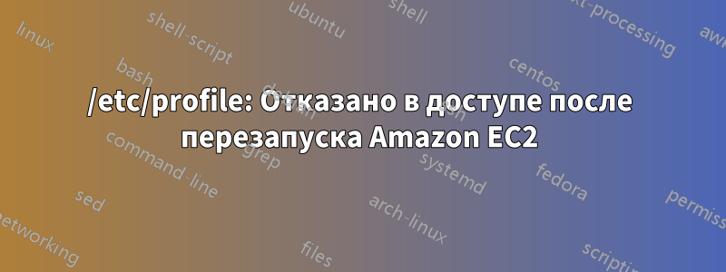 /etc/profile: Отказано в доступе после перезапуска Amazon EC2