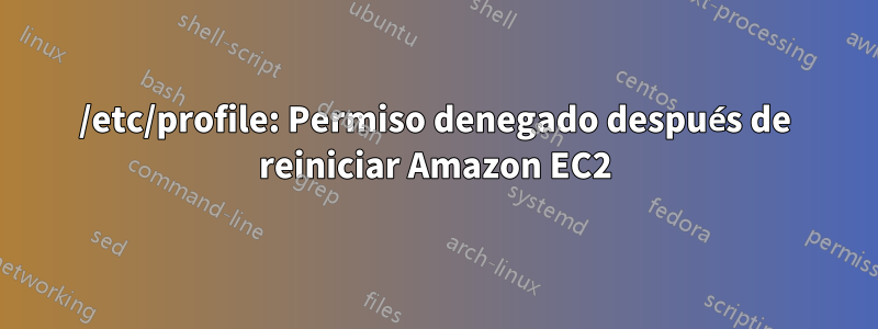 /etc/profile: Permiso denegado después de reiniciar Amazon EC2