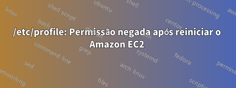 /etc/profile: Permissão negada após reiniciar o Amazon EC2