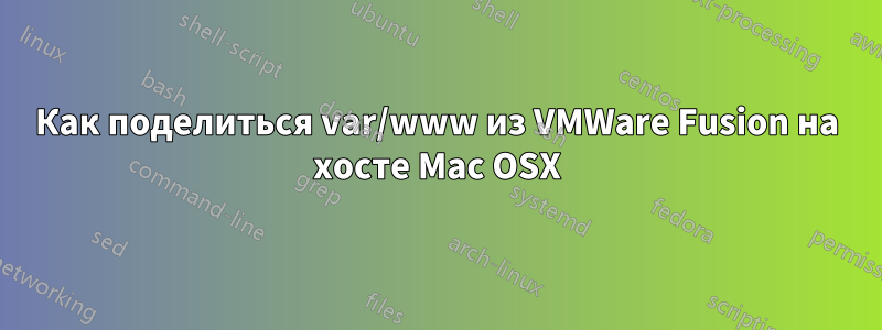 Как поделиться var/www из VMWare Fusion на хосте Mac OSX