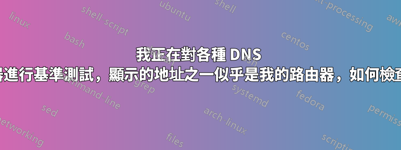 我正在對各種 DNS 伺服器進行基準測試，顯示的地址之一似乎是我的路由器，如何檢查它？