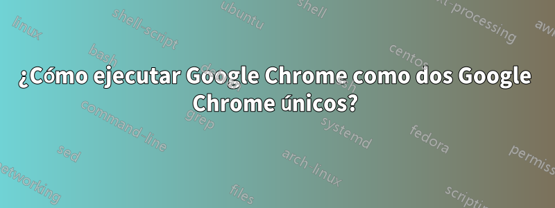 ¿Cómo ejecutar Google Chrome como dos Google Chrome únicos?