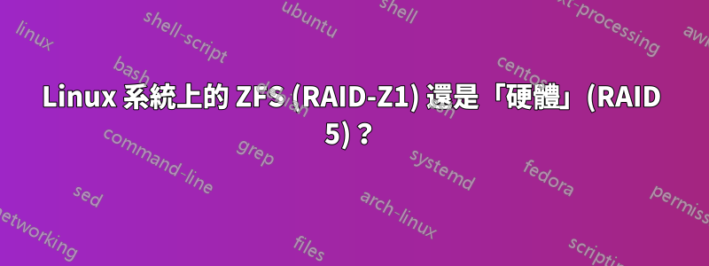 Linux 系統上的 ZFS (RAID-Z1) 還是「硬體」(RAID 5)？