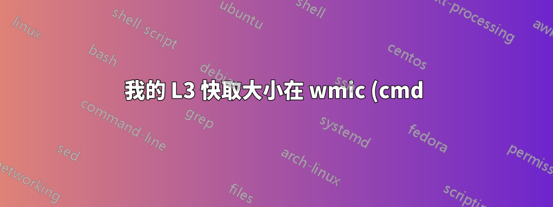我的 L3 快取大小在 wmic (cmd) 中顯示為零