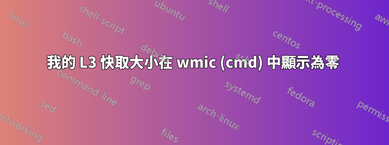 我的 L3 快取大小在 wmic (cmd) 中顯示為零